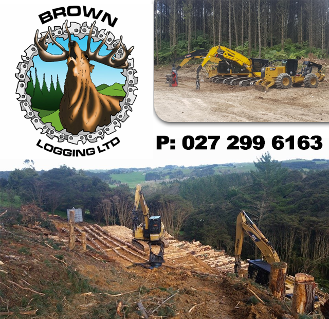 Brown Logging Limited - Te Puna Primary School - Dec 23